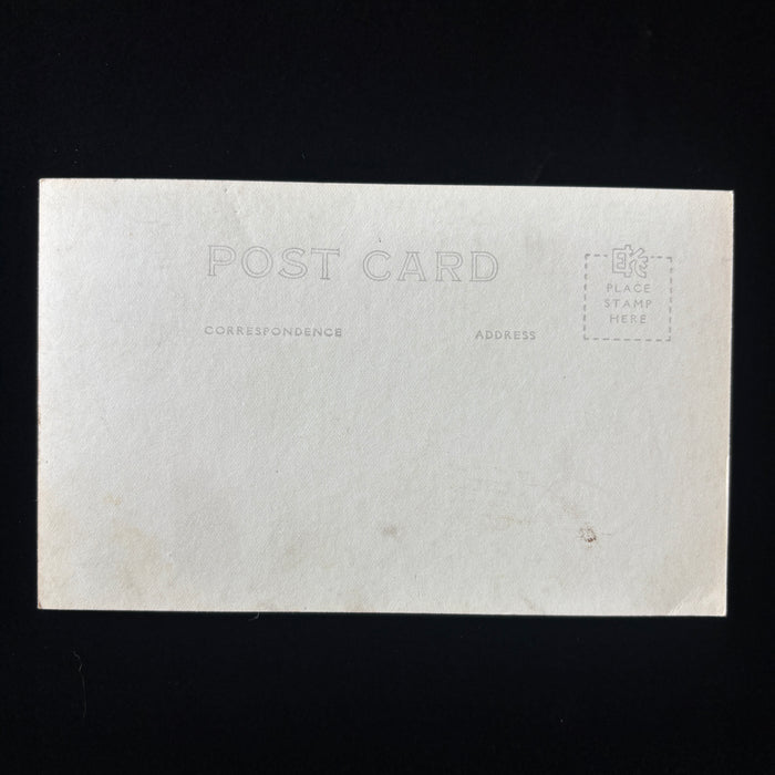 Vintage Postcard RPPC Boat Lake View Spooner Wisconsin Fishing Peaceful Birch