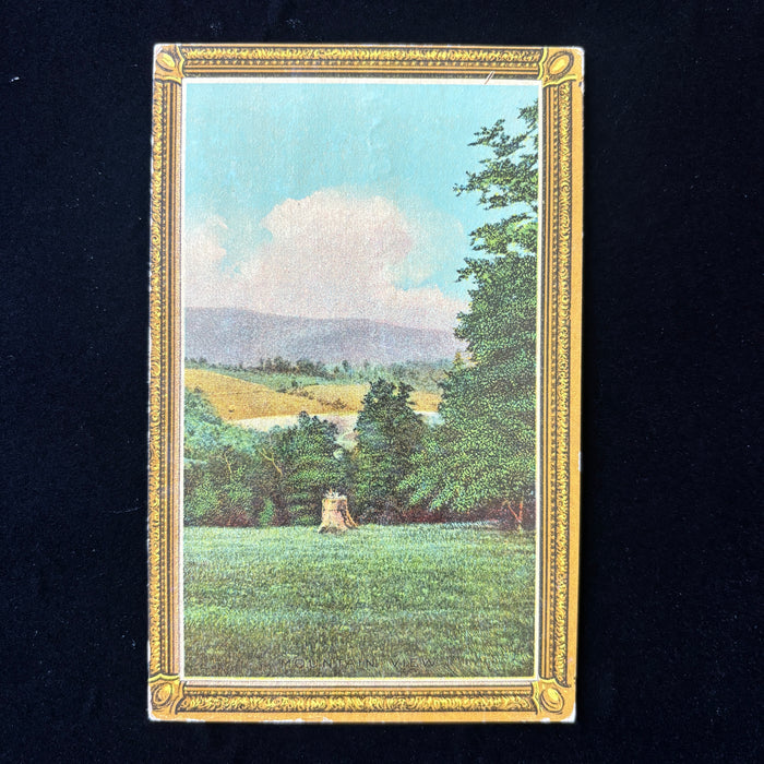 Vintage Postcard Liver Sweetheart Lamberton Minnesota Frame Art Landscape Posted
