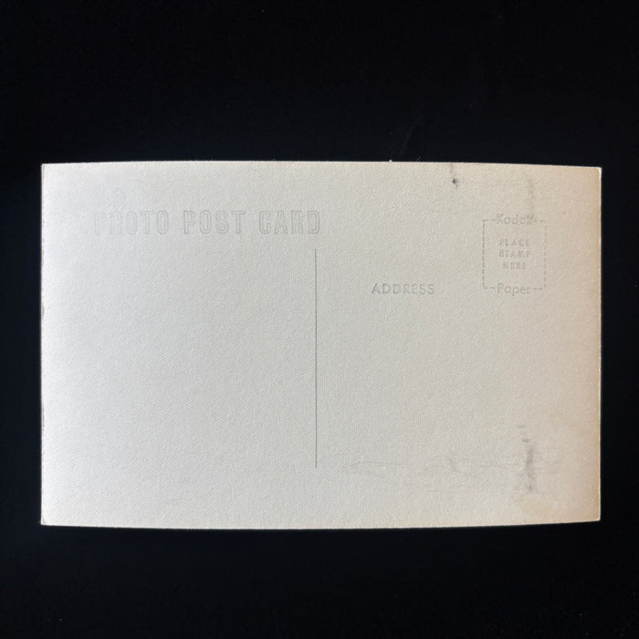 Vintage Postcard RPPC Giant Ponderosa Pine Tree Hwy 62 Oregon Art Ray Forestry