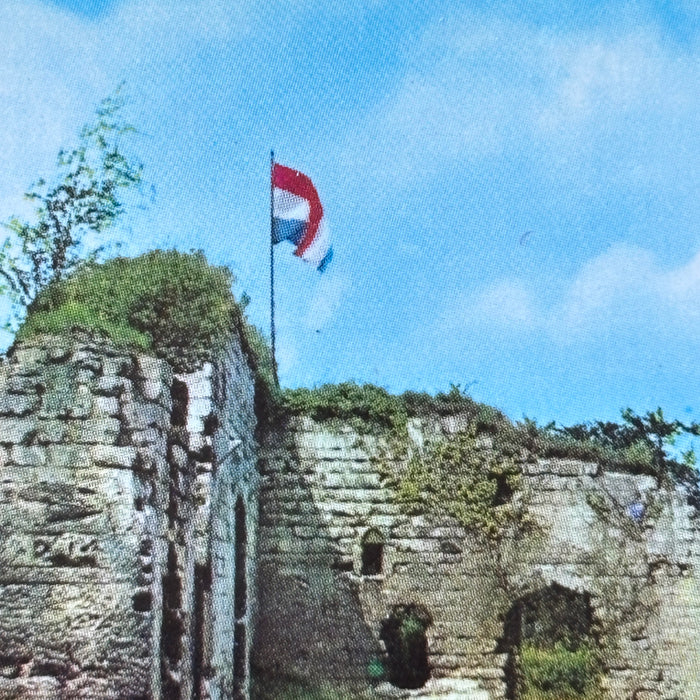 Vintage Postcard Valkenburg Netherlands Castle Ruins Holland Limburg Dutch Flag