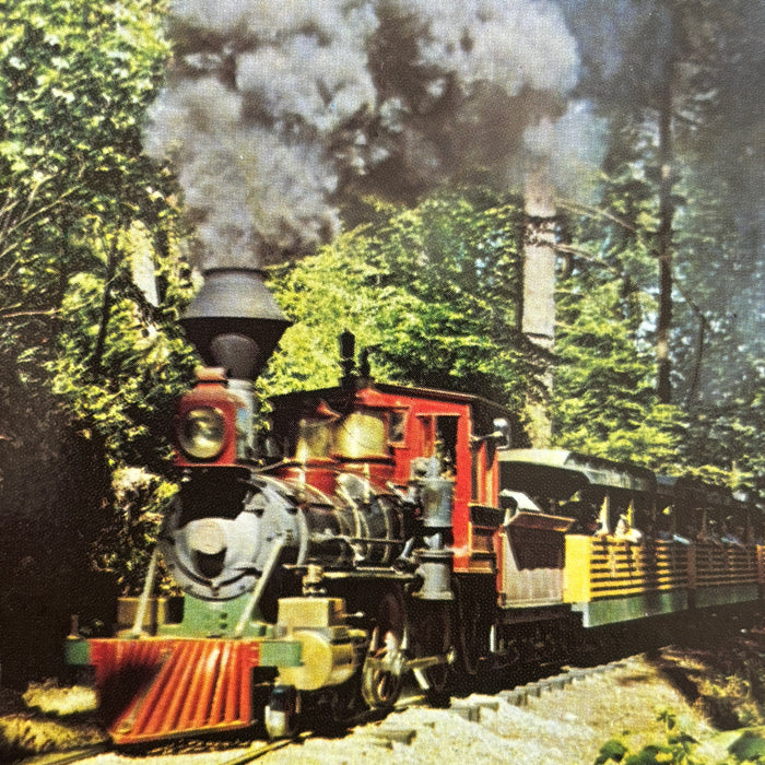 Vintage Postcard Lot Steam Train Oregon Mt Hood Portland Zoo Union Oil Travel