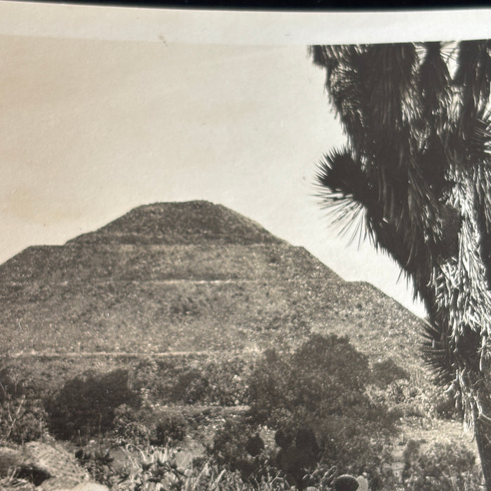 Vintage Postcard RPPC Mexico Sun Pyramid Teotihuacan Desert Yucca Tree Aztec