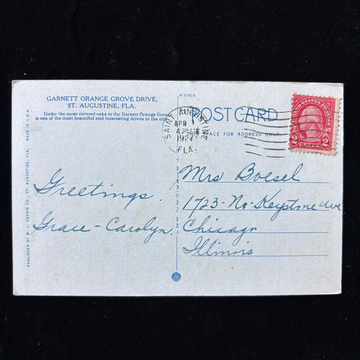 Antique Postcard 1927 Garnett Orange Grove Drive Moss Oaks St Augustine Florida