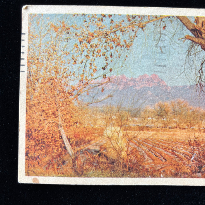 Vintage Postcard 1954 "Hospital Recovery" Las Cruces New Mexico Organ Mountains