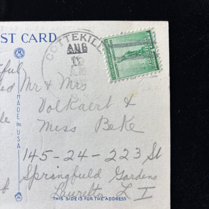 Vintage Postcard 1941 Cottekill NY Forest Scenic Family Resort Vacation Tree Art