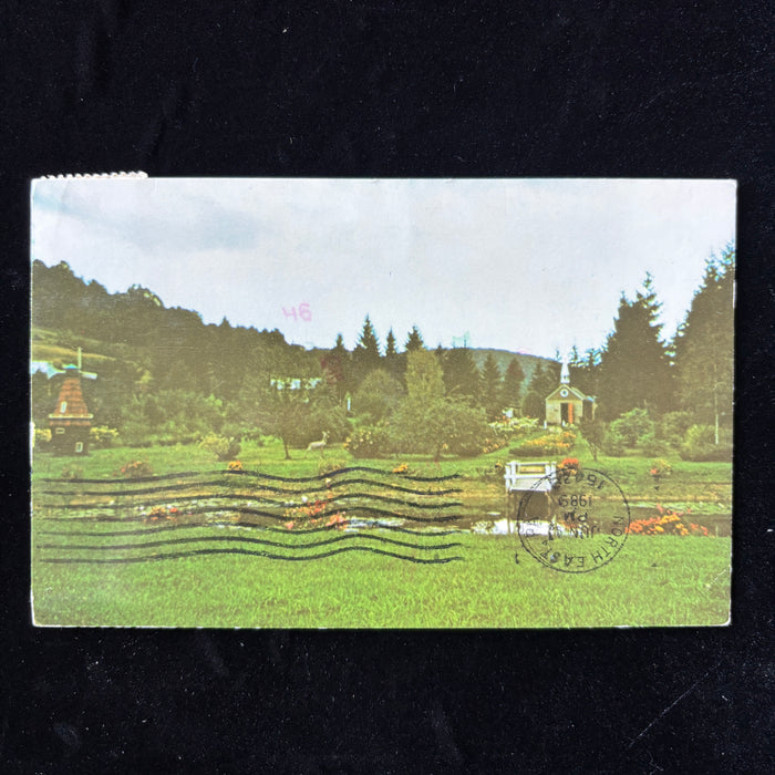 Vintage Postcard 1989 Our Lady Of Pines West Virginia Smallest Church Deer Windmill
