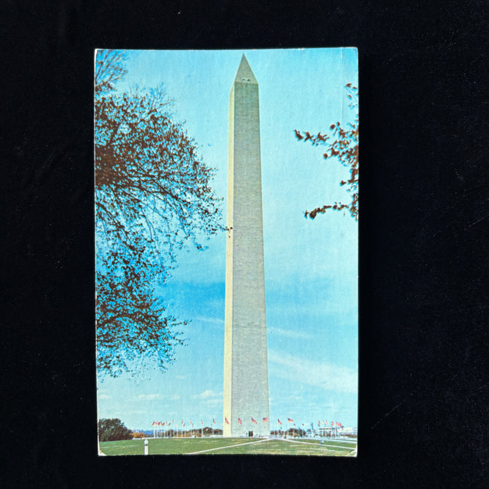 Vintage Postcard 1970s Walking 898 Stairs Social History Washington Monument DC