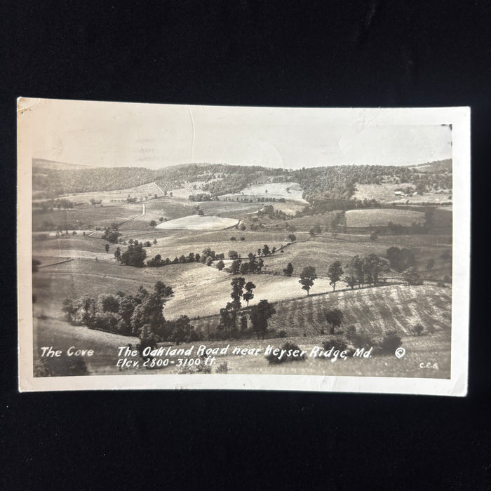 Vintage Postcard 1948 RPPC Oakland Road Keyser Ridge Maryland Cove Landscape