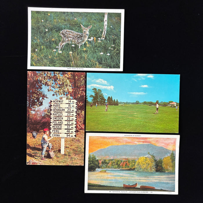 Vintage Postcard Lot Discover Maine Lynchville Sign Golf Deer Mt Katahdin Sunset
