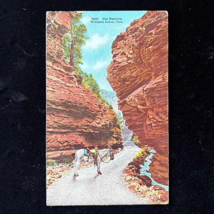 Antique Postcard 1912 Donkey The Narrows Williams Canon CO Green Mountain Falls