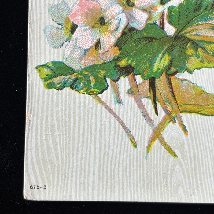 Antique Postcard 1911 Manhattan Kansas Purple Flowers Wood Grain Watermelon