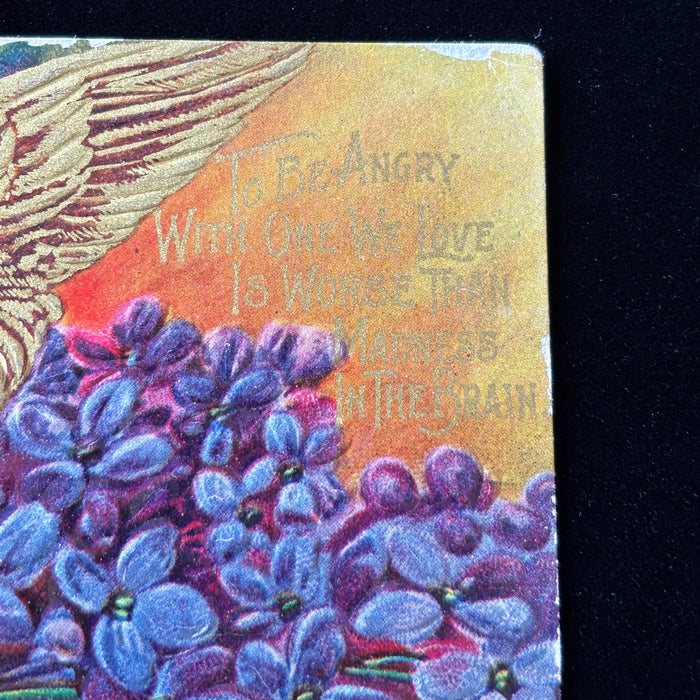 Antique Postcard 1911 German-Texan Picnic La Vernia Seguin TX Gold Eagle Lilacs