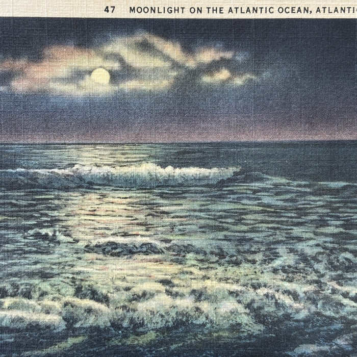 Vintage Postcard 5-Lot Diving Horse Steel Pier Beach Atlantic City NJ Ocean