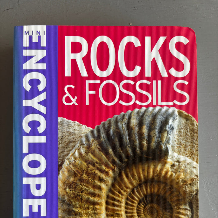 Mini Encyclopedia Rocks & Fossil Paperback Book