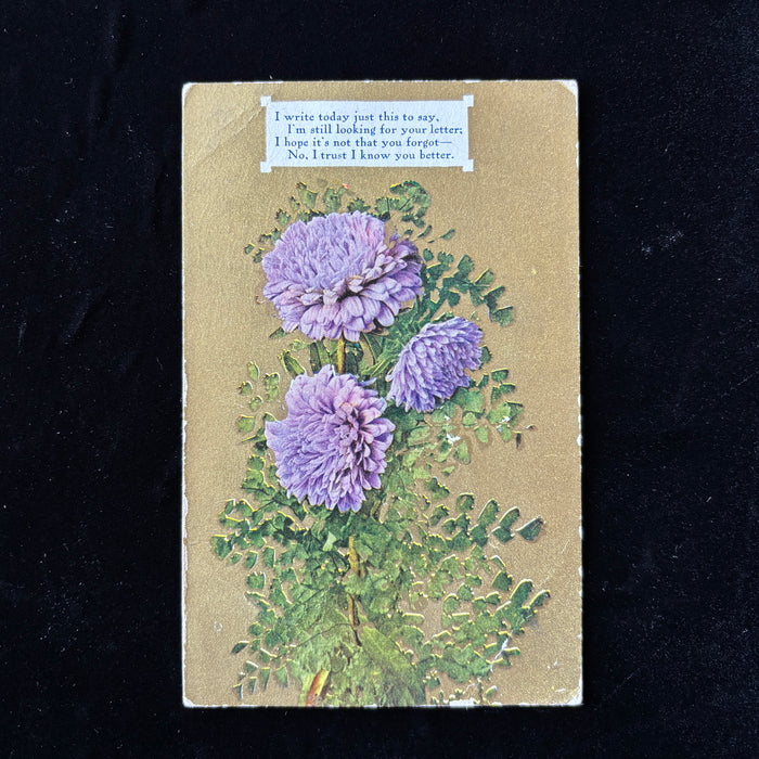 Antique Postcard 1909 Ghost Town DPO Montborne WA Purple Flower Embossed Poem