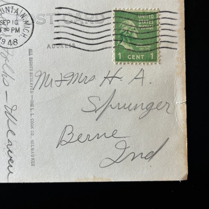 Vintage Postcard 1948 RPPC Black Bear Cubs Wildlife Iron Mt Michigan Fishing