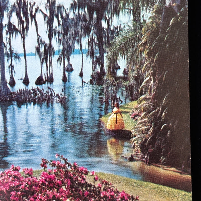Vintage Postcard Lot Southern Belles Lagoon Florida Cypress Gardens Gazebo Music