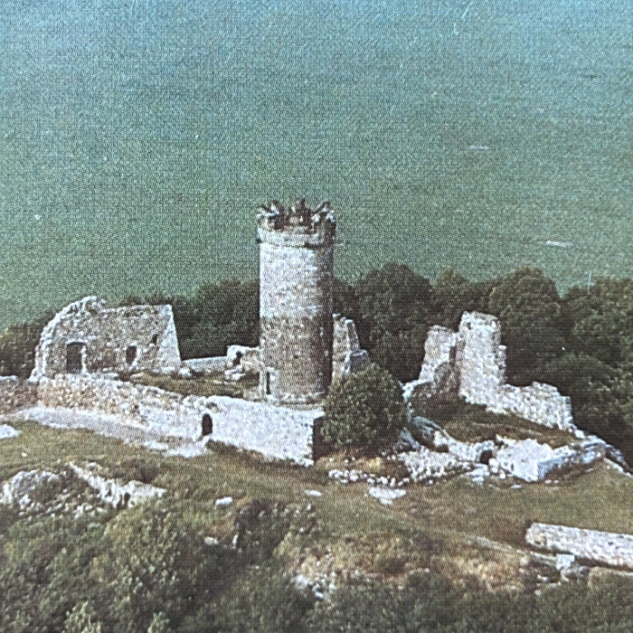 Vintage Postcard East German Aerial View Muhlburg Castle Interflug Aero-Foto DDR