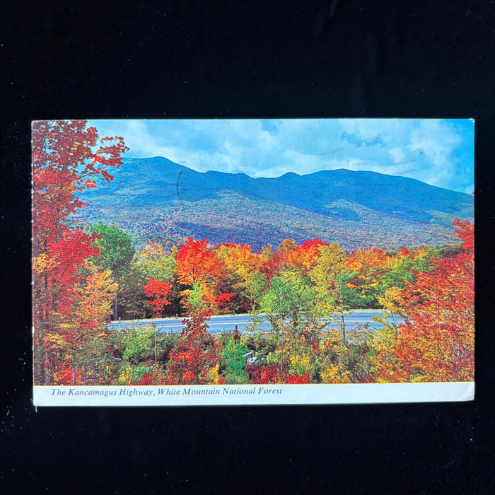Vintage Postcard 1968 Leaf Peeper Kancamagus Hwy White Mtn New Hampshire Autumn
