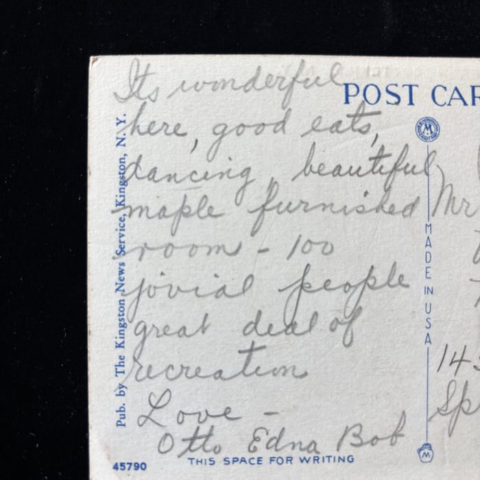 Vintage Postcard 1941 Cottekill NY Forest Scenic Family Resort Vacation Tree Art