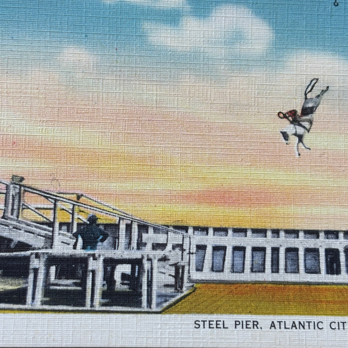 Vintage Postcard 5-Lot Diving Horse Steel Pier Beach Atlantic City NJ Ocean