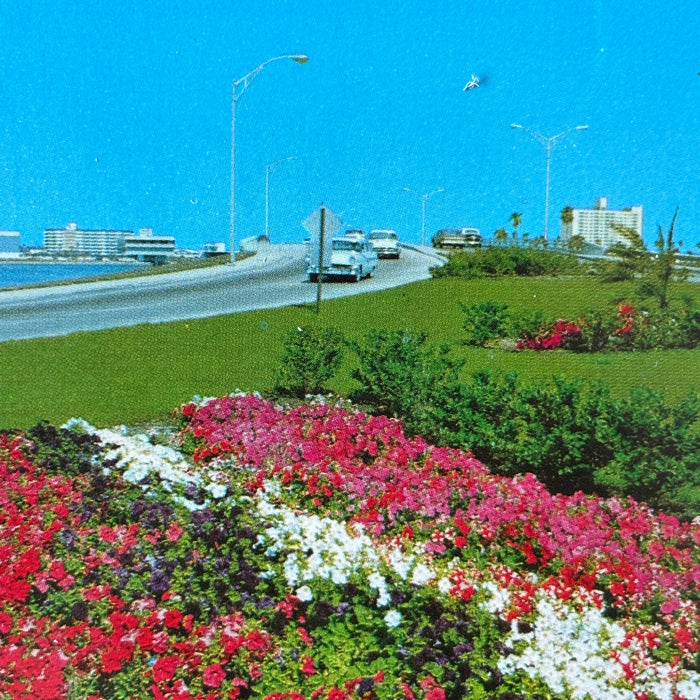 Vintage Postcard Lot 3 Clearwater Florida Kitschy Kapok Memorial Causeway Beach