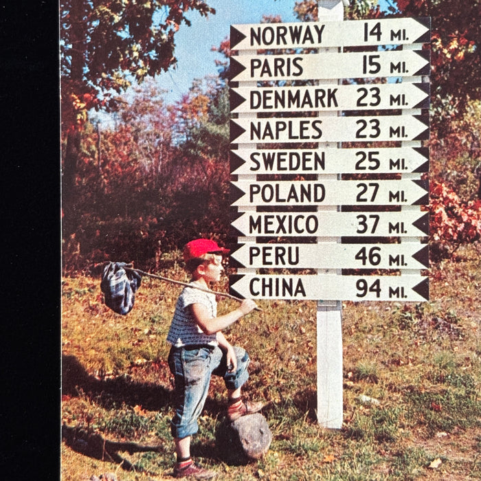 Vintage Postcard Lot Discover Maine Lynchville Sign Golf Deer Mt Katahdin Sunset