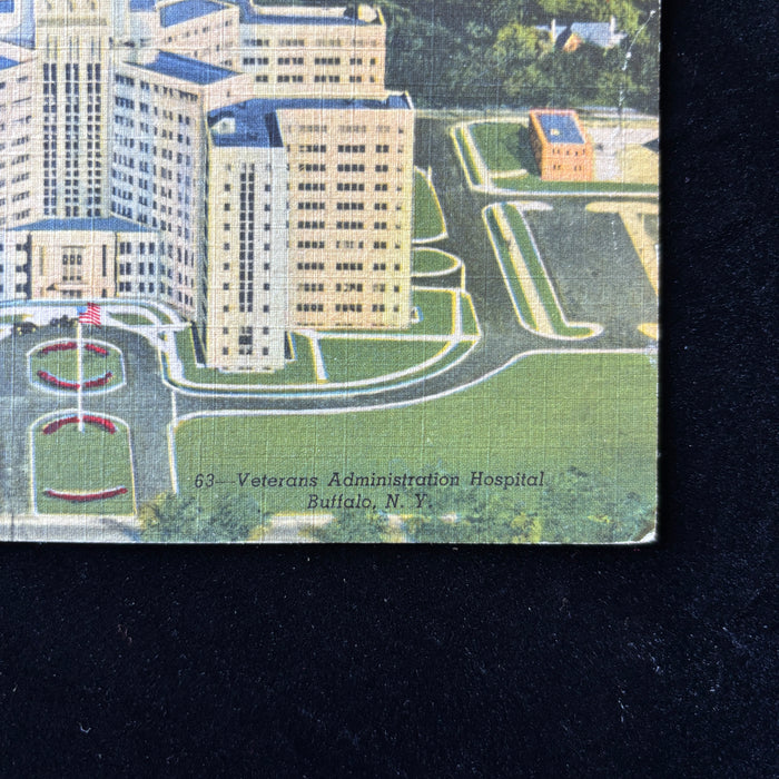 Vintage Postcard 1952 Frozen Flowers Veterans Administration Hospital Buffalo NY