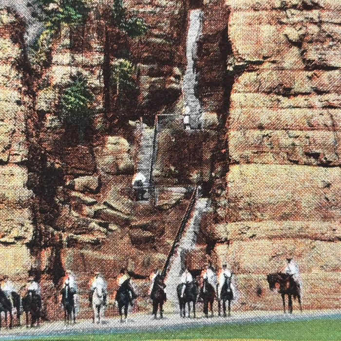 Vintage Postcard Lot Fishing VA Natural Bridge Chimneys Falls Springs Horses