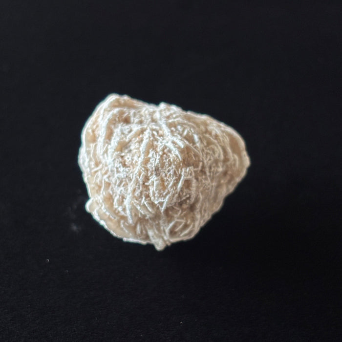 Desert Rose Selenite Raw Stone Rosette Cluster