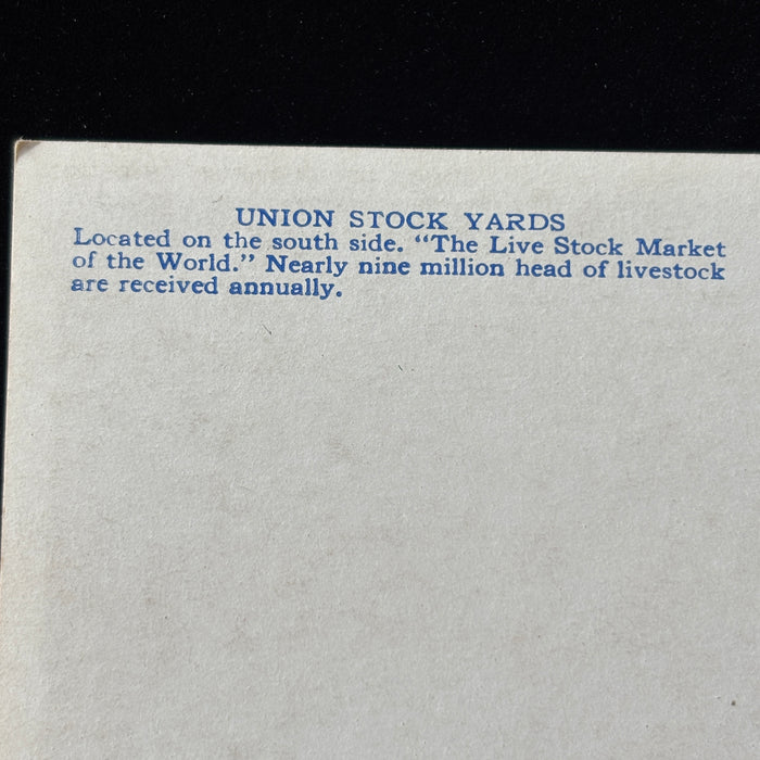 Vintage Postcard 1900s Union Stock Yards Chicago Aerodist Art Views Cows City