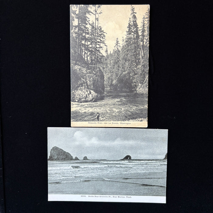 Vintage Postcard Lot Washington Nature Nisqually River La Grande Moclips Ocean