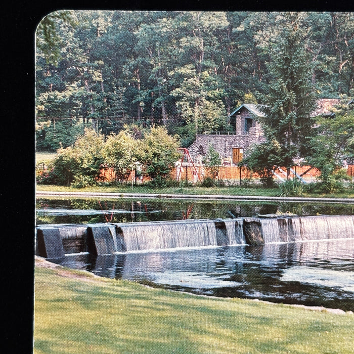 Vintage Postcard Lot Michigan Lansing State Capitol Milham Park Summer Scene