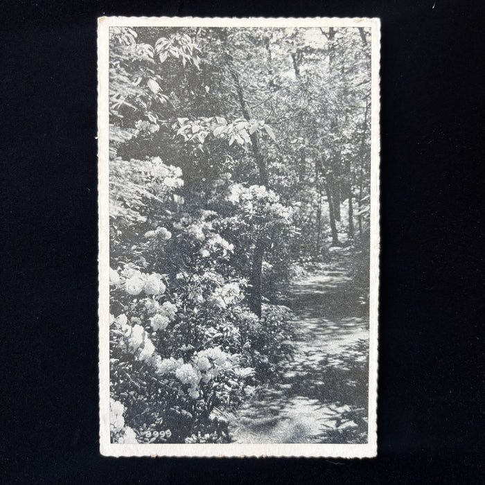 Vintage Postcard 1948 Soldier Mail Dirty Tired Gulfport Army Mountain Laurel PA