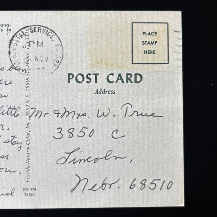 Vintage Postcard Florida Spanish Moss Shelling Lincoln Nebraska Social History
