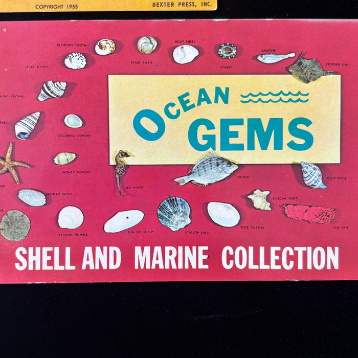 Vintage Postcard Lot Sea Horse Tale Ocean Gems Desert Reverie Antone Martin Poem