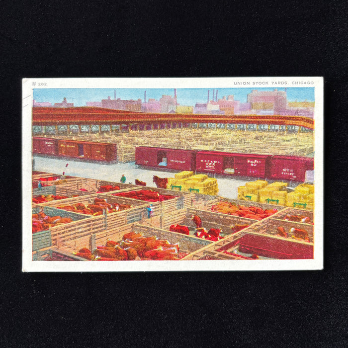 Vintage Postcard 1900s Union Stock Yards Chicago Aerodist Art Views Cows City