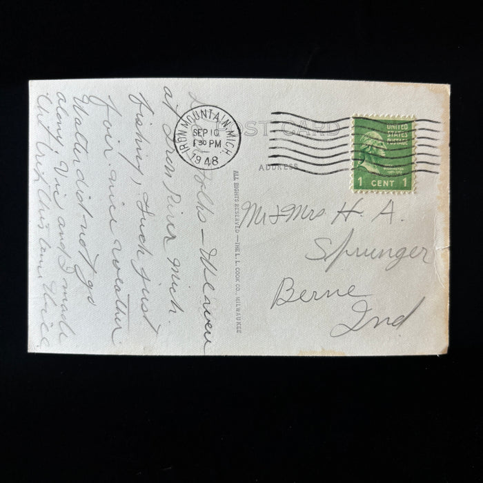 Vintage Postcard 1948 RPPC Black Bear Cubs Wildlife Iron Mt Michigan Fishing