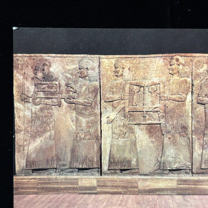 Vintage Postcard Lot Iraq Museum Prisoner Assyrian Sumerian Relief Antiquity Art