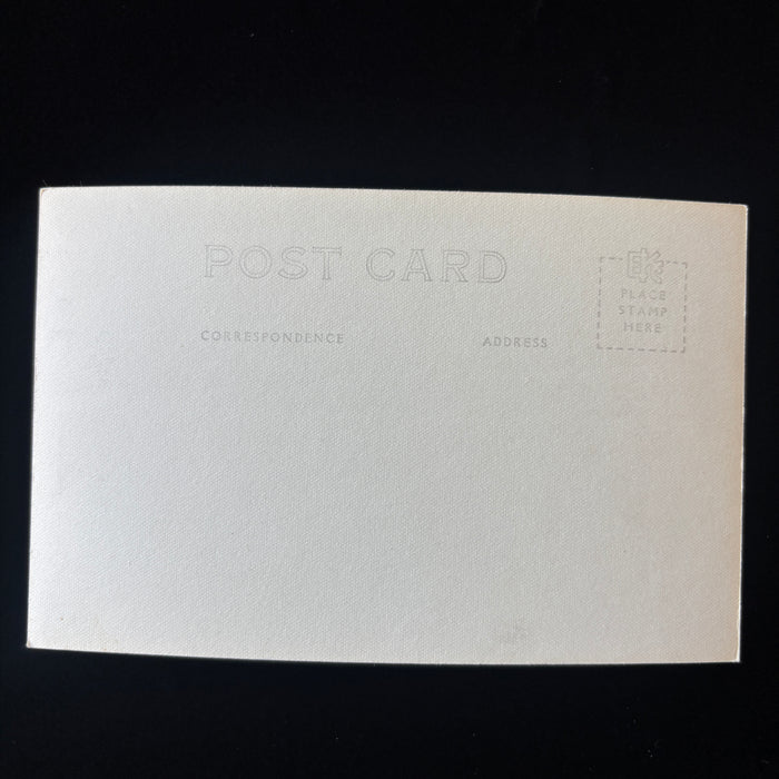 Vintage Postcard RPPC Snowy Mount Shasta California Highway 99 Sacramento River
