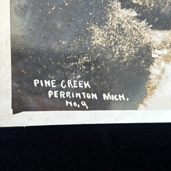 Vintage Postcard RPPC Pine Creek Perrinton Gratiot Michigan River Landscape