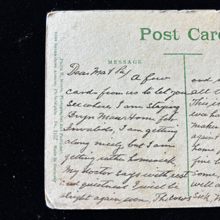 Antique Postcard 1900s Convalescent Story Sheep Hillside Bryn Mawr PA