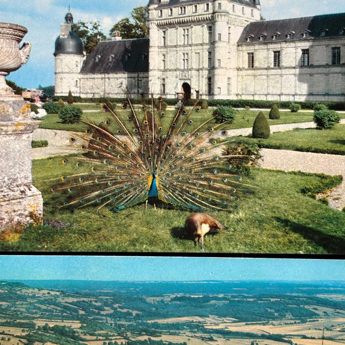 Vintage Postcard Lot French Wonders Valencay Castle Vezelay Abbey Peacock France