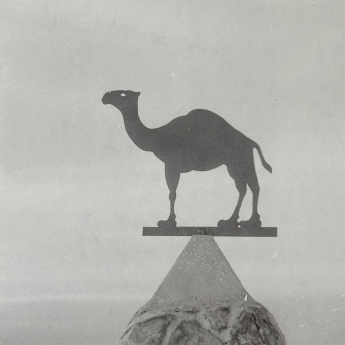 Vintage Postcard RPPC Hi Jolly Tomb Camel Pyramid Cactus Hwy 60 Salome Arizona