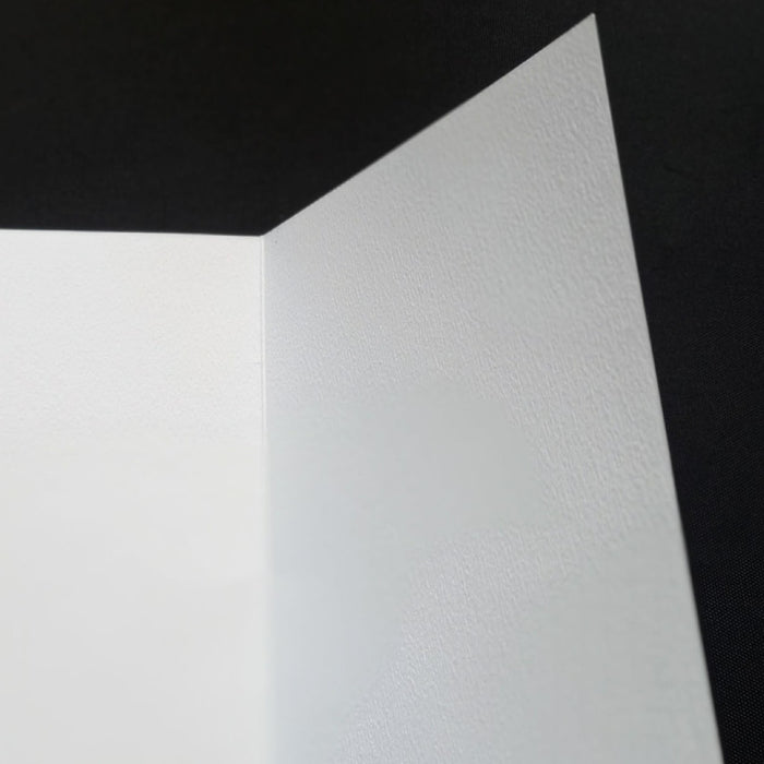 Greeting Card Set: 2 Jeremiah Goodman Interior Art Prints Beistegui Guidi 2010