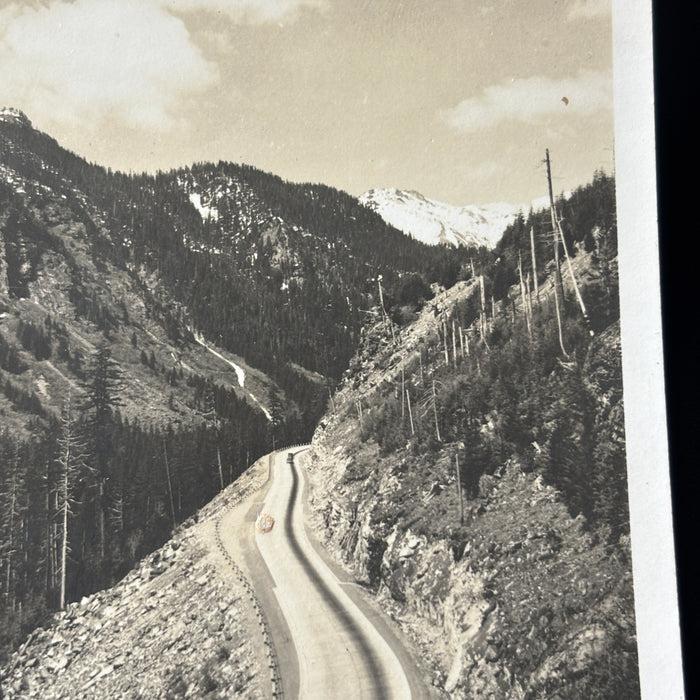 Vintage Postcard RPPC Sunset Highway Snoqualmie Pass Washington Mountain Road