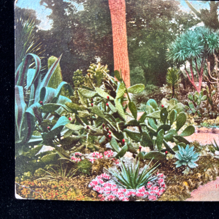 Antique Postcard 1913 Hotel Del Monte Rare RPO Train Postage