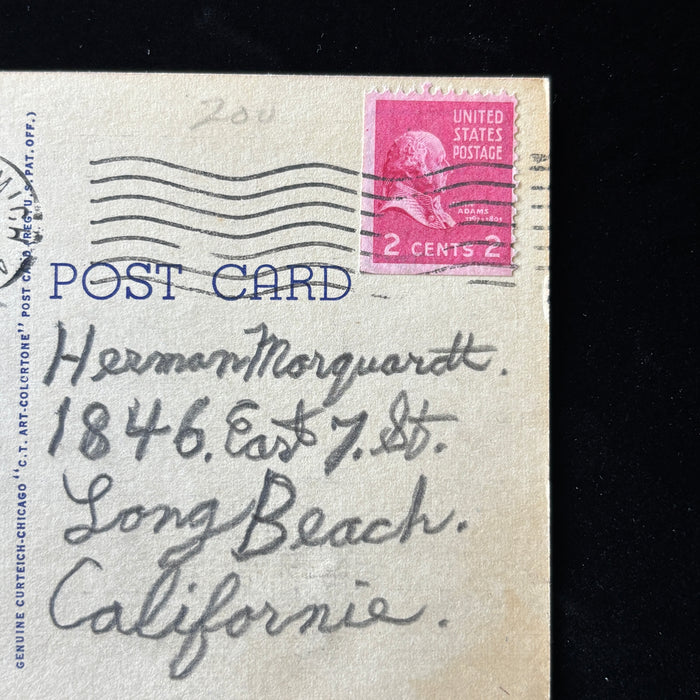 Vintage Postcard 1937 Shaved In Bus Cincinnati OH Carew Tower Social History
