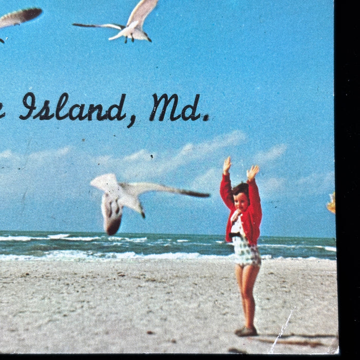 Vintage Postcard 1971 Assateague Island MD Beach Girl Seagulls Berlin Maryland