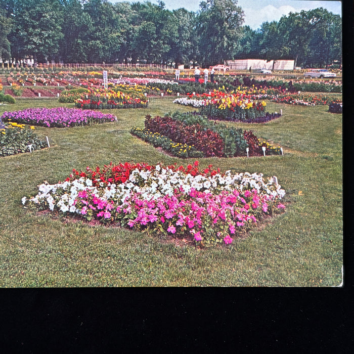 Vintage Postcard Lot Grotto Redemption West Bend Earl May Gardens Religious Iowa